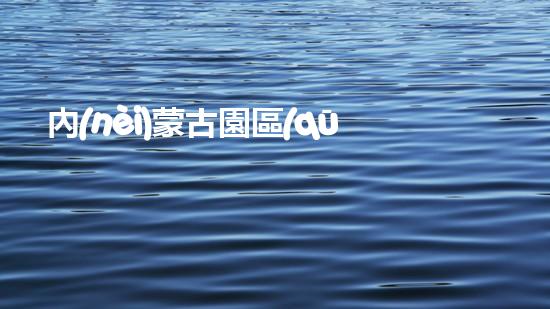 內(nèi)蒙古園區(qū)集中固廢危廢處置通知化工領(lǐng)域新技術(shù)，突破創(chuàng)新封鎖？